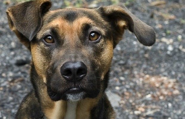 Cresce em 92% o número de abandonos em nossa Região