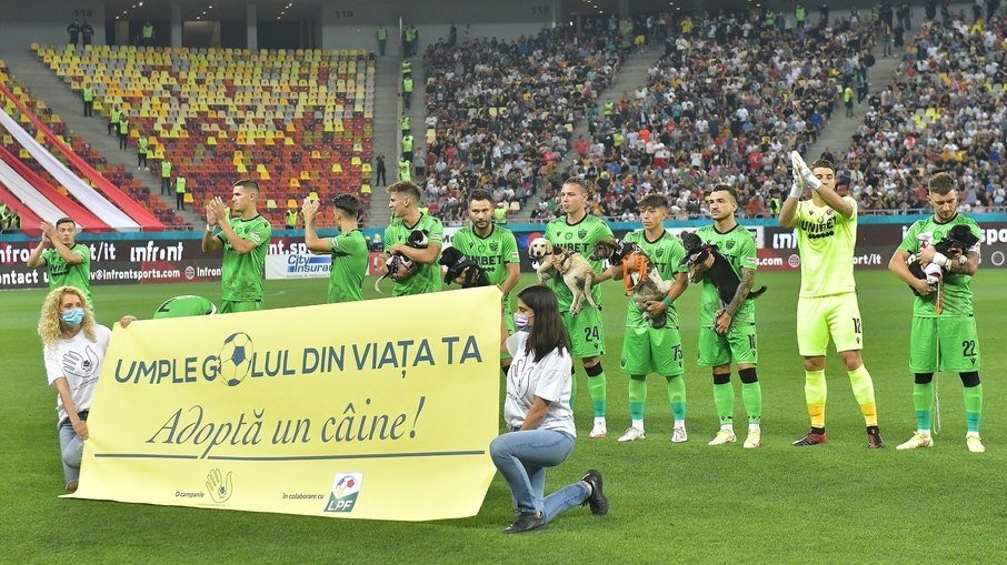 Jogadores de futebol levarão a campo cães abandonados em todos os jogos